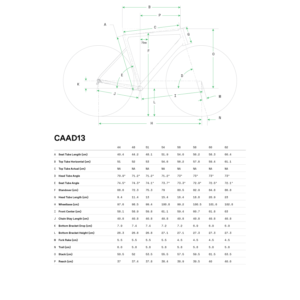 CANNONDALE Caad13 105 Di2 Yol Bisikleti - Mercury 54CM