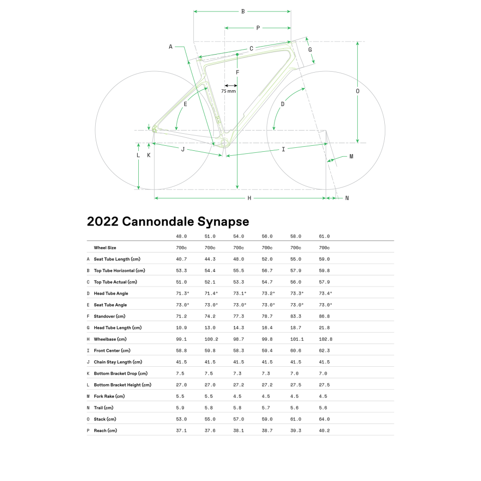 CANNONDALE Synapse Carbon 2 RLE Yol Bisikleti - Gri 51CM