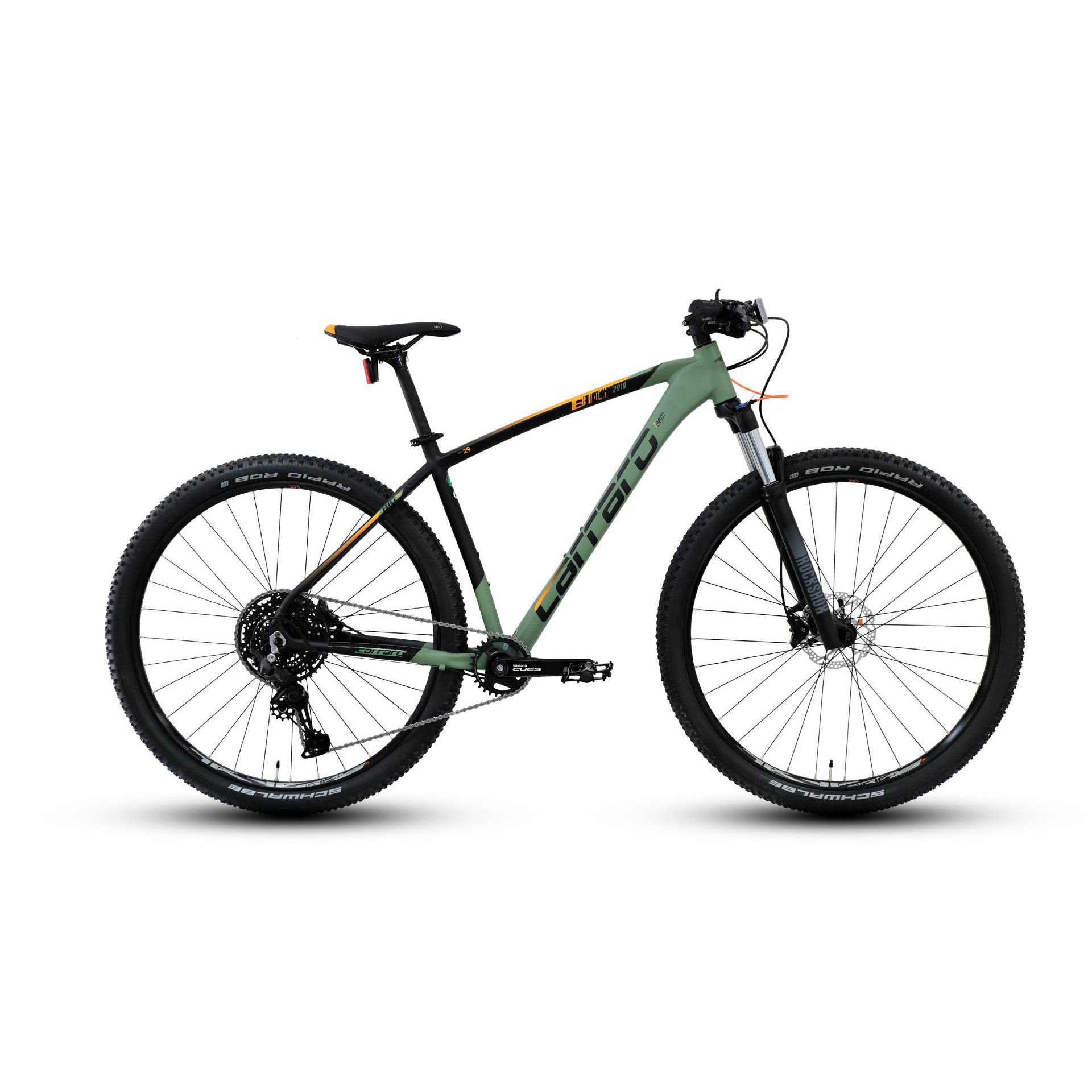 CARRARO BIG 2910 10V HD Dağ Bisikleti Mat Bambu Yeşili 48CM