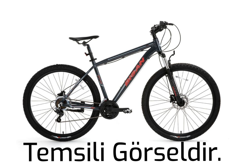 BİSAN ATLAS 29 Jant 21V HD Dağ Bisikleti Parlak Gri - Yeşil 48CM