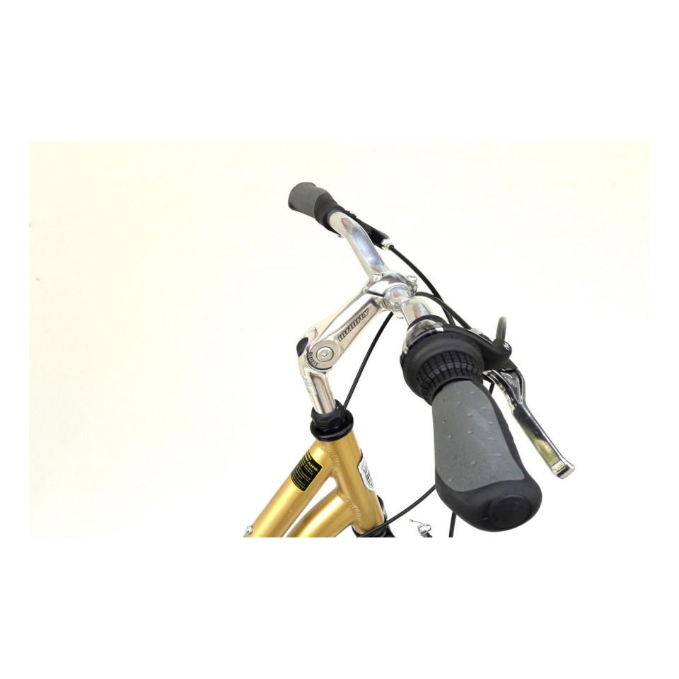 GEOTECH Infinity Women 28'' 7V VB Trekking Bisiklet Gold 43CM